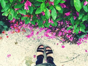 Low section of woman standing on ground