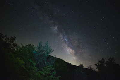 Low angle view of trees against sky at night