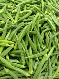 Full frame shot of corn