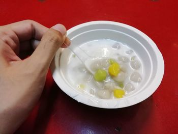 High angle view of person holding ice cream in bowl