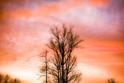 Silhouette of bare tree against cloudy sky