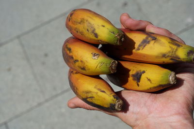 Close-up of hand holding fruit