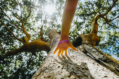 Low section of person against tree trunk