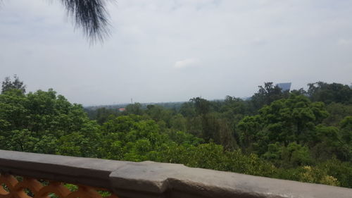 Trees growing on landscape against sky