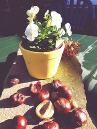 Close-up of flowers on table