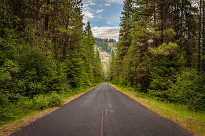 Road amidst trees against sky