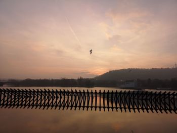 Silhouette birds flying over lake against sky during sunset