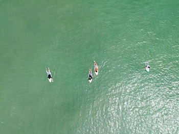 High angle view of people surfing in sea