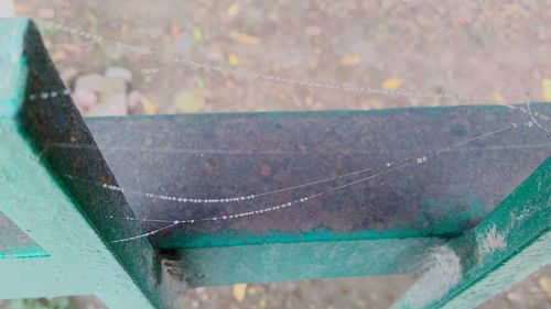 Close-up of wet spider web