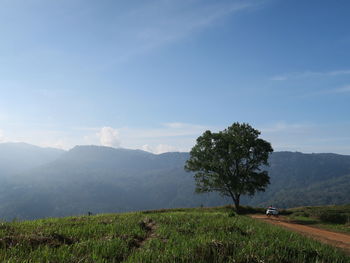 Scenic view of field against sky