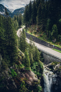 Scenic view of road amidst forest