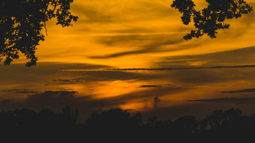 Low angle view of silhouette trees against orange sky