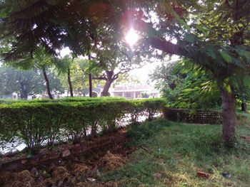 Scenic view of green landscape and trees