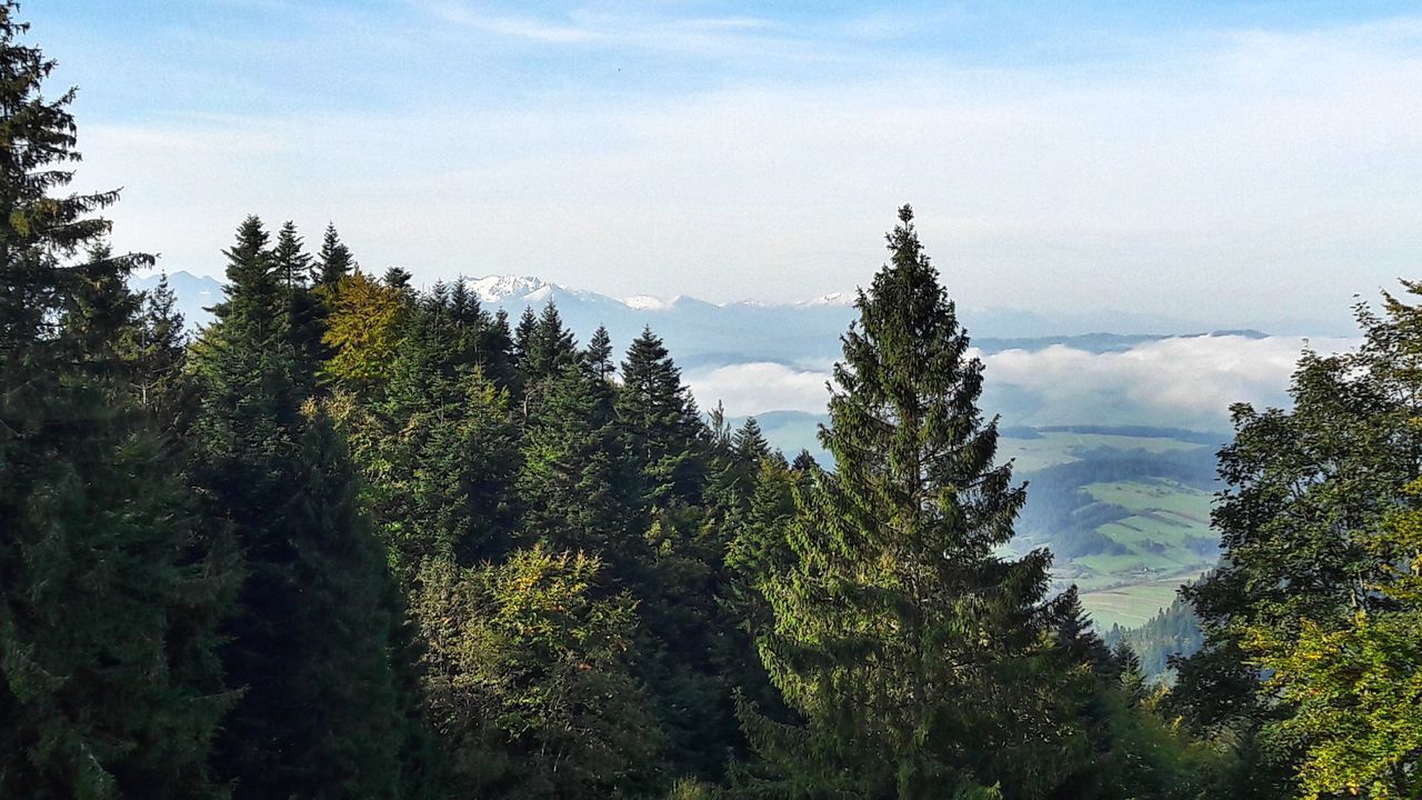 SCENIC VIEW OF GREEN LANDSCAPE AND MOUNTAINS