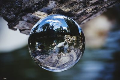 Close-up of crystal ball against trees