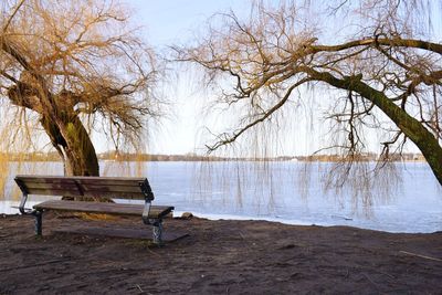 Bench by bare tree by lake against sky