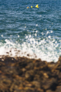 Close-up of bird by sea