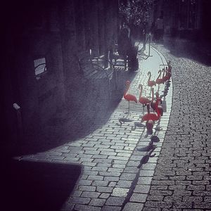 Shadow of woman walking on road