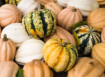 High angle view of pumpkins in market