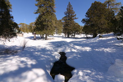 snow