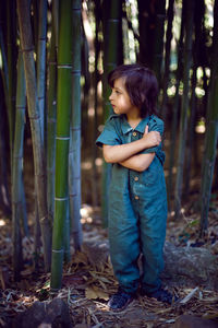 Boy child in a green jumpsuit walks among tall bamboos in the summer afternoon