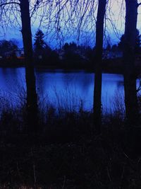 Reflection of trees in lake