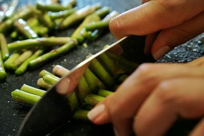 Cropped image of person holding hands