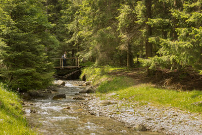 Full length of woman walking on wooden bridge over stream in forest