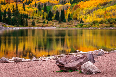 Scenic view of lake in forest during autumn