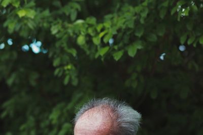 Close-up senior man against trees