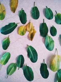 High angle view of leaves on table