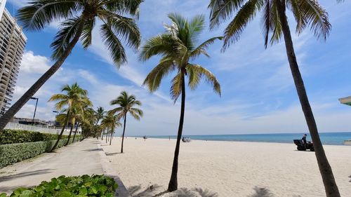 Palm trees on beach against sky