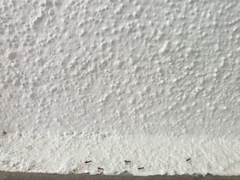 Close-up of snow on window