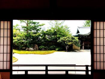 Trees and house in lawn seen through window