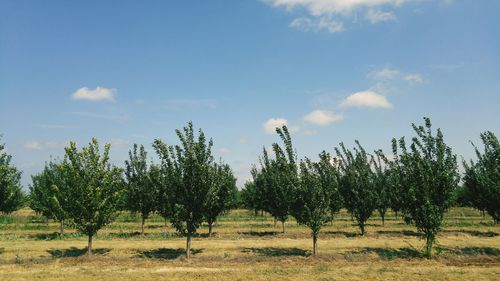 Scenic view of field against cloudy sky