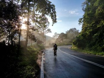 Rear view of man riding bicycle on road