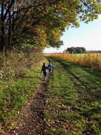 People walking on field by tree against sky