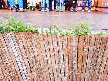 Low section of people on wooden wall