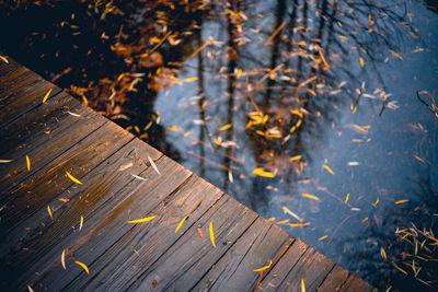 High angle view of leaves on wood by lake