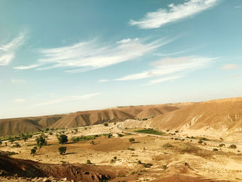 Scenic view of desert against sky