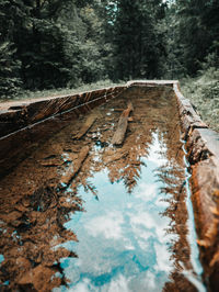 Surface level of wooden walkway amidst trees in forest