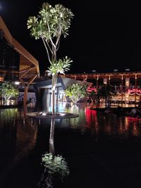 Illuminated tree by river against buildings at night