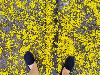 Low section of woman standing on yellow wall