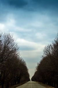 Road with trees in background
