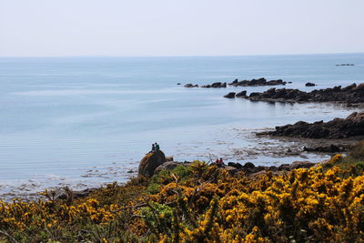 People sitting on rock at shore against clear sky