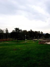 Trees on field against sky