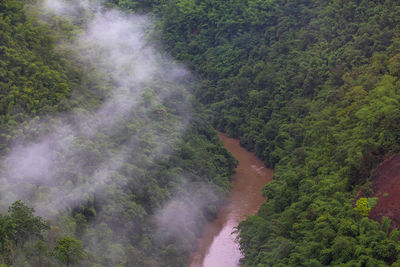 High angle view of waterfall in forest