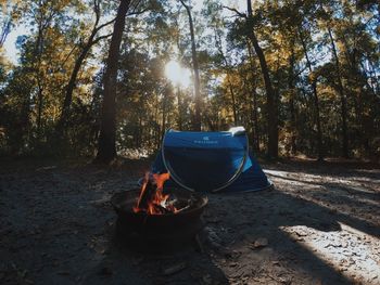 View of fire in the forest