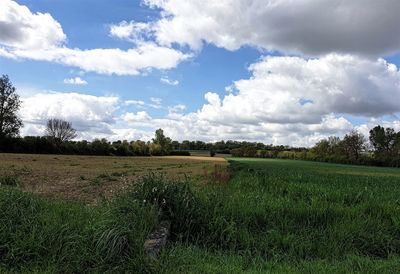 Scenic view of field against sky