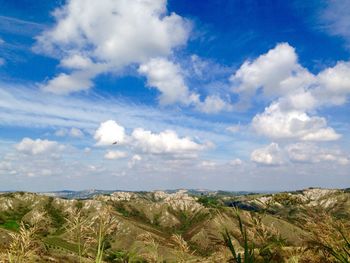Scenic view of field against blue sky